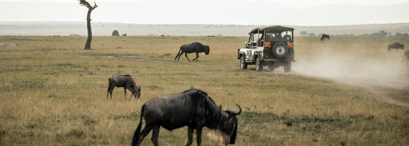 4 Days Masai mara national Reserve Kenya wildlife safari trip